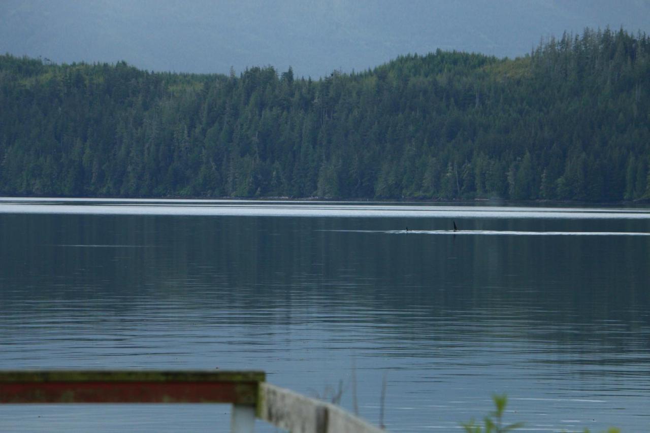 Nimpkish Hotel Alert Bay Exteriér fotografie
